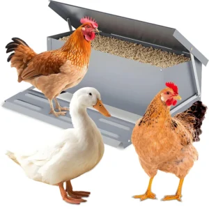 Farm Animal Feeding Trough