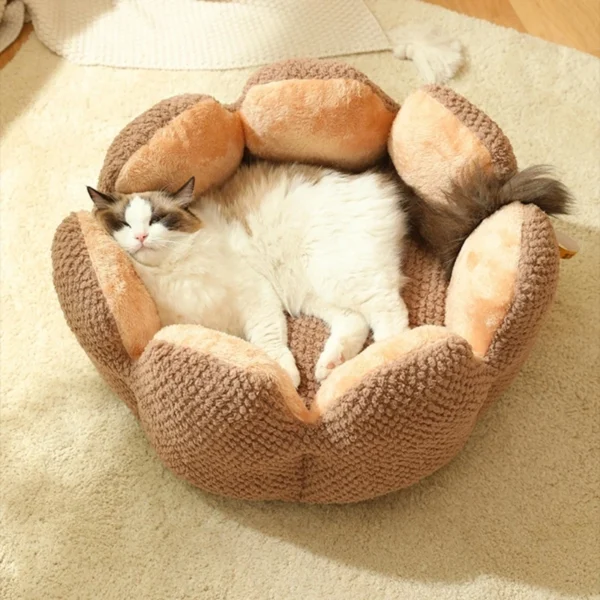 kf-S013c849ac7fc4eae9804c99fab6206a5i