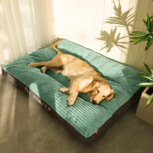 ​Seasonal Pet Sofa Bed​