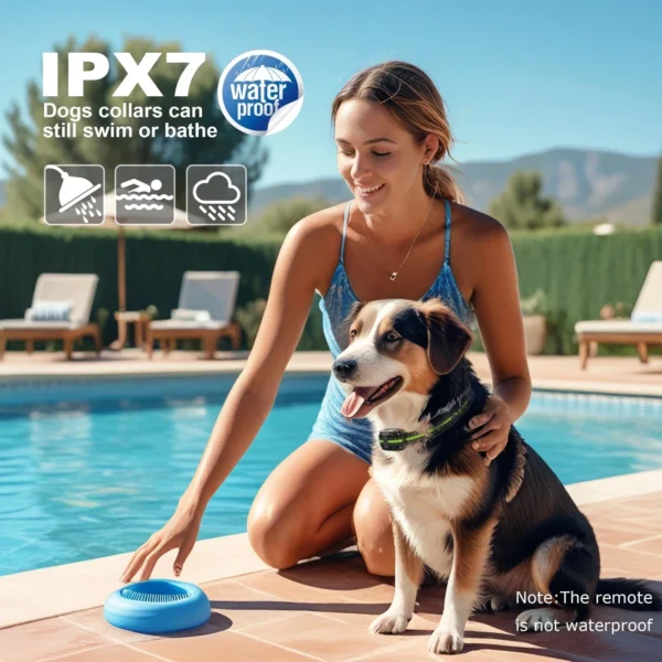 kf-S1477091bd24d4faa90625093b12bd037L