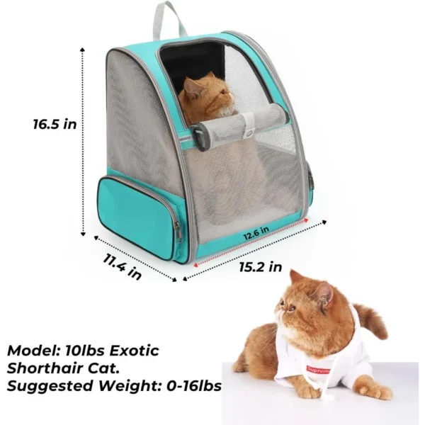 kf-S182cc80a2278447797c907e44f18199f2