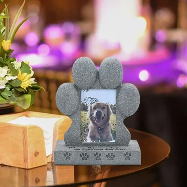 kf-S2054b207ab2049eeb9cbbb265f4f155d1