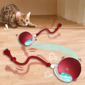 Intelligent Cat Obstacle Ball​