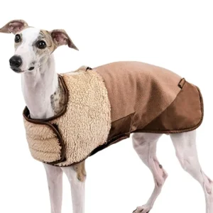 Adjustable Dog Winter Jacket