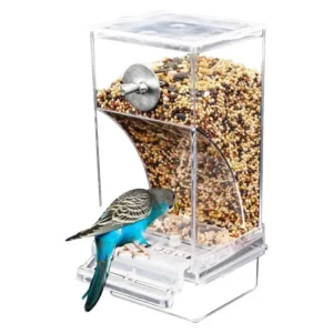 Acrylic Bird Feeder Spill-Proof