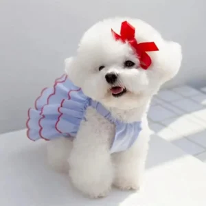 Princess Dog Summer Dress