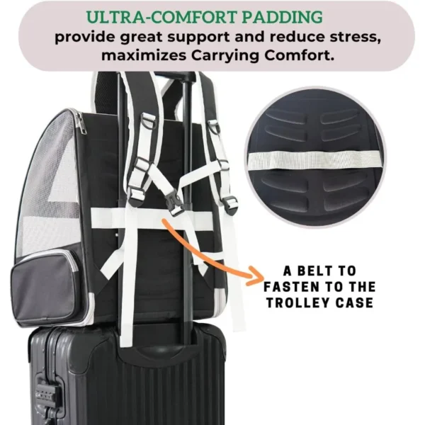 kf-S7897207411de4a97a1fa4925f7330d4aE