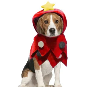 ​Buckle-up Christmas Dog Dress