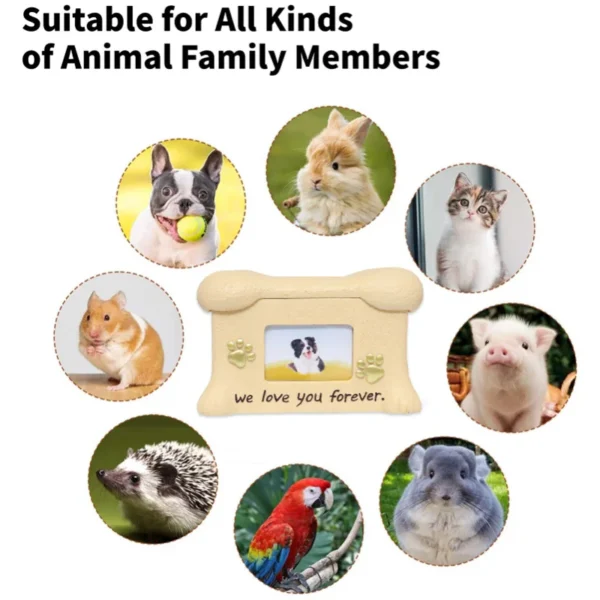 kf-S8440283dc5cb47b48d279b8b1ee1fcdaP