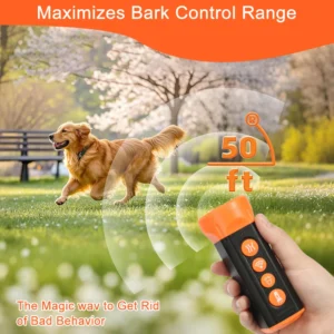 kf-S8a2ccae0f7774ca497e796749b7129b2O