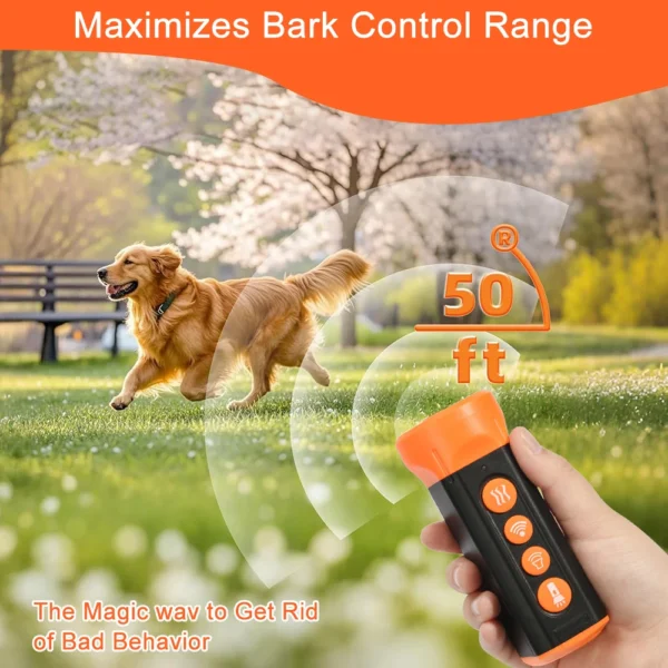 kf-S8a2ccae0f7774ca497e796749b7129b2O