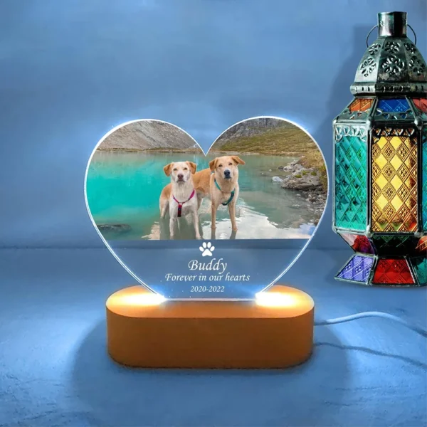 kf-S954d7ece7b694a7c82b4dfd313174b10u