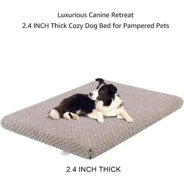 kf-S96ef0730fec2475b973be9ab56a32541C kf-S96ef0730fec2475b973be9ab56a32541C