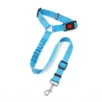 Collars, Harnesses & Leashes