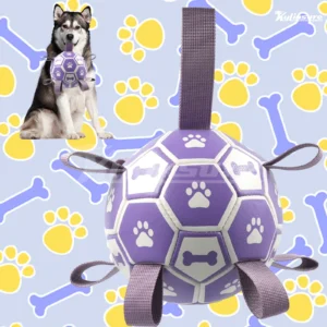 ​Durable Dog Soccer Ball Toy