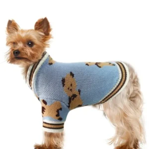 Autumn Knitted Puppy Sweater