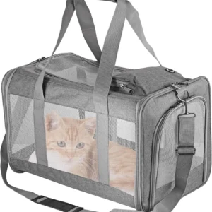 Airline Approved Pet Carrier