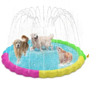Dog Splash Pad Outdoor Play