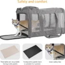 kf-Sce0bf85946514ca980cc4f348d400ddfg