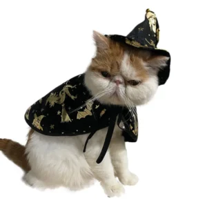 Halloween Witch Cat Costume