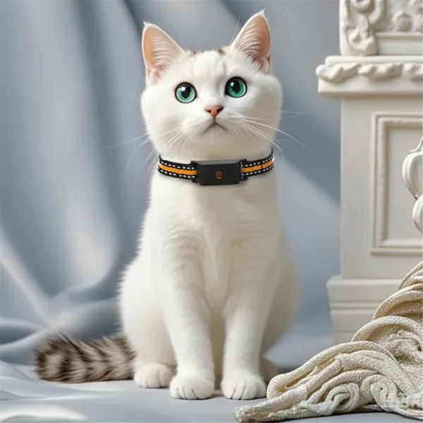 kf-Sd7463de1bd5945a080ee6704898ab3d7M