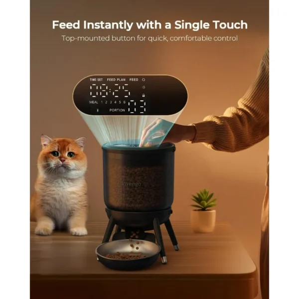 kf-Sd83dd0de4ba5427fb5ddd541995b402bY