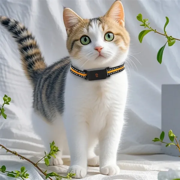 kf-Se2fc4b9f16b640ef9bc04a393649d899V