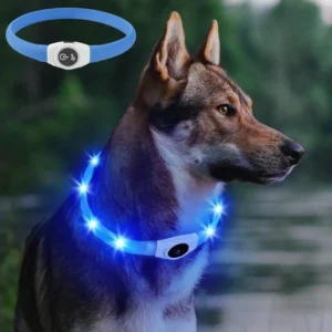 Glow-in-the-Dark Dog Collar