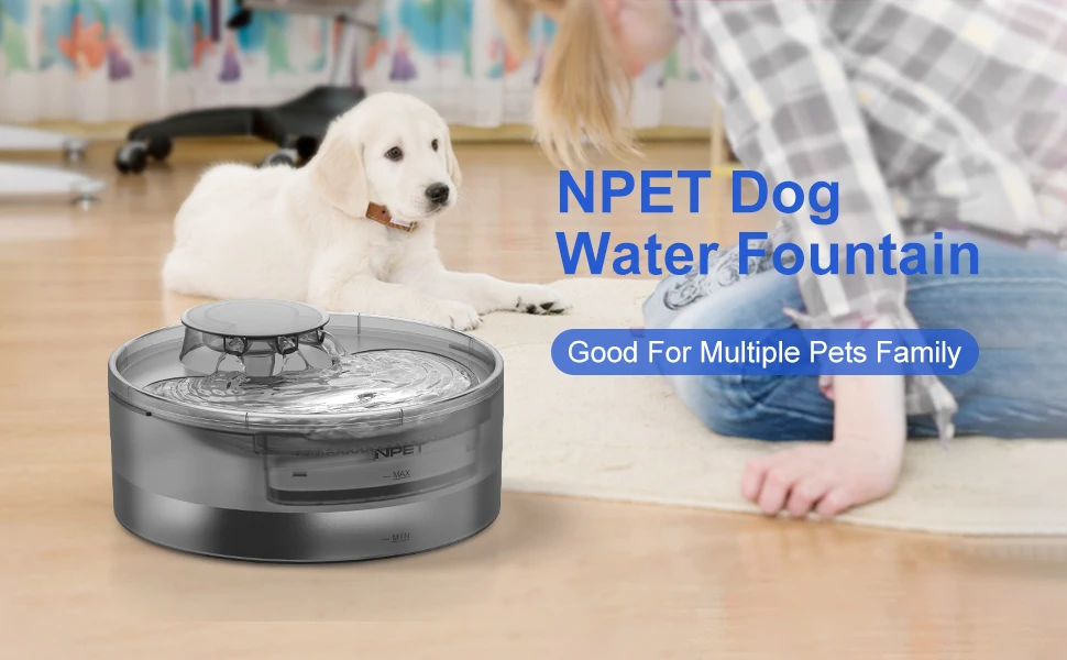 dog water fountain