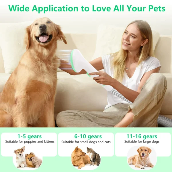 kf-Sfb7e64c315764ade9cd9aaa9b82d9d611