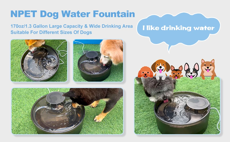 dog water fountain